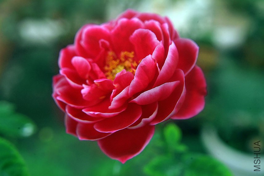 DSCF0725.jpg