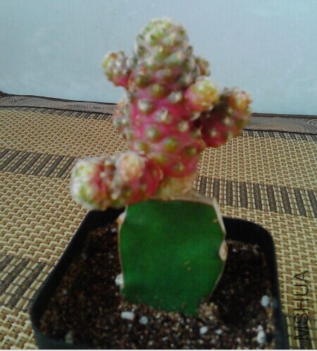 QQͼƬ20141114171641.jpg