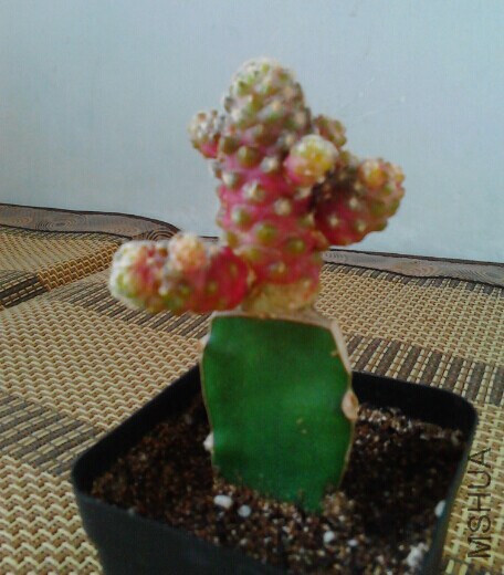 QQͼƬ20141114171710.jpg
