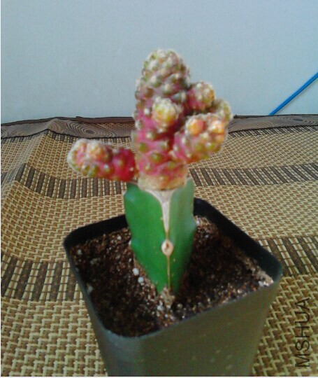 QQͼƬ20141114171733.jpg