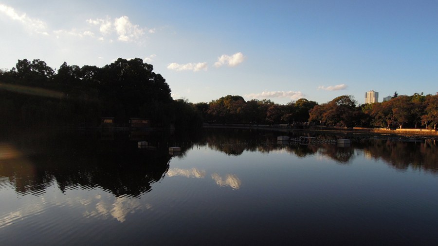 201411 002.JPG