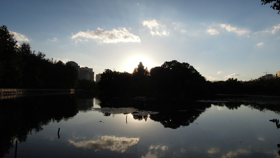 201411 003.JPG