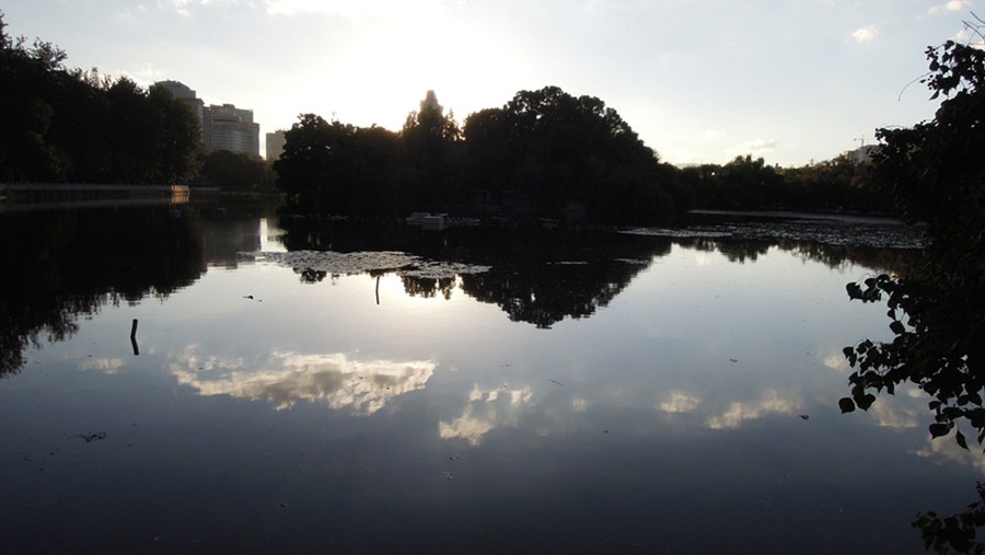 201411 005.JPG