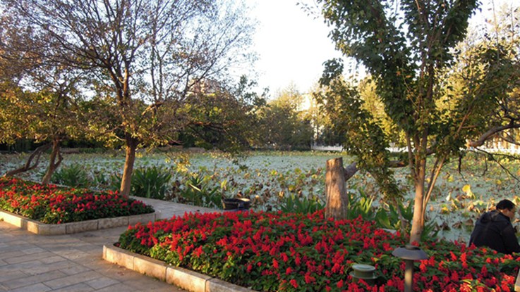 201411 007.JPG
