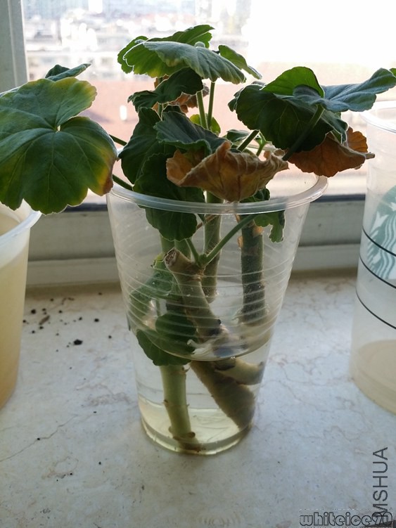20141024_152812.jpg