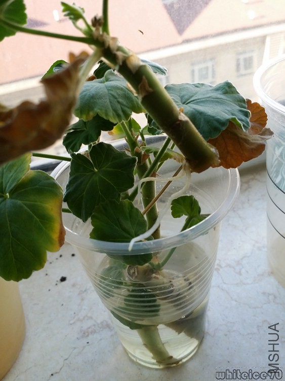 20141024_152831.jpg