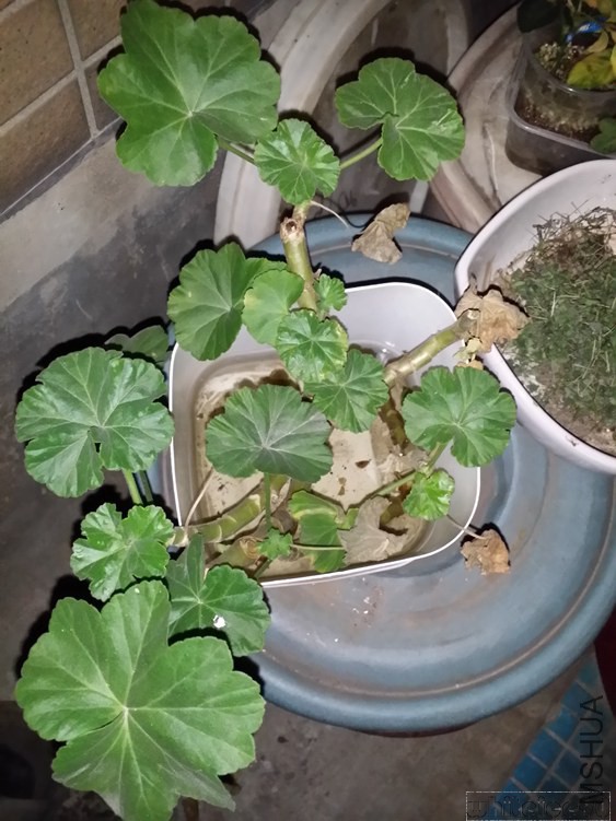 20141114_233115.jpg