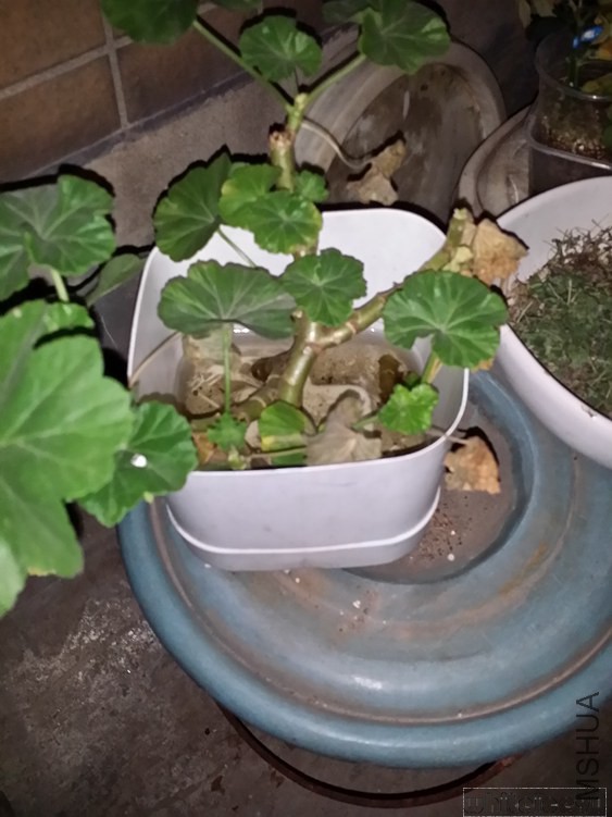 20141114_233125.jpg