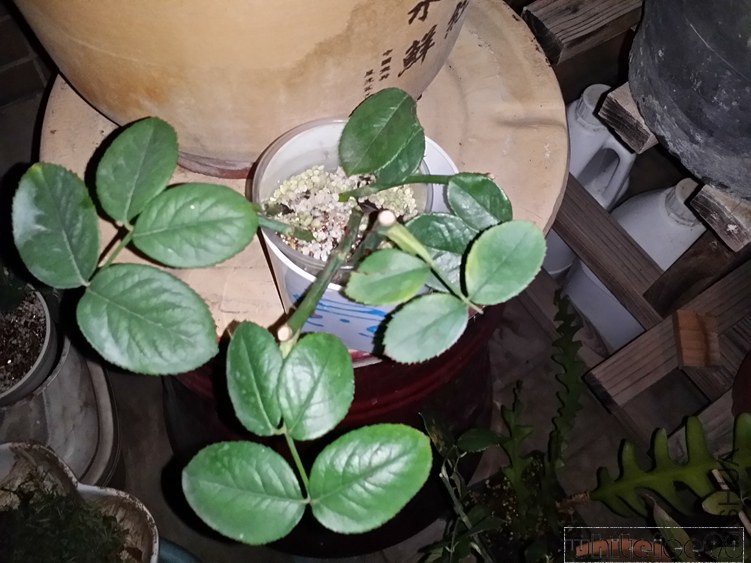 20141114_233359.jpg
