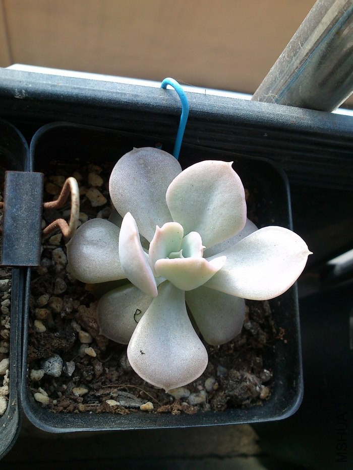 10�·����Ժ�������