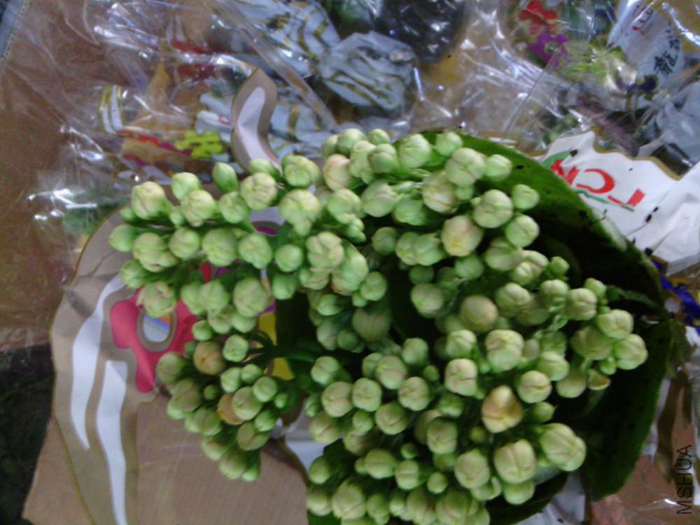 IMG_20141115_102205.jpg