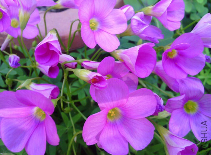 QQ��ͼ20141115120915.jpg