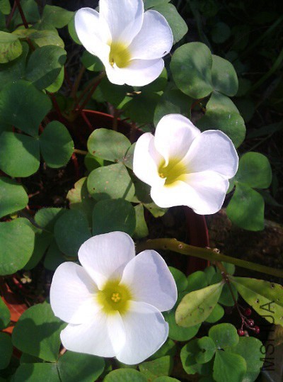 QQ��ͼ20141115120925.jpg