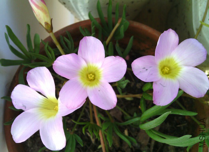QQ��ͼ20141115121321.jpg