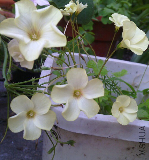 QQ��ͼ20141115121344.jpg