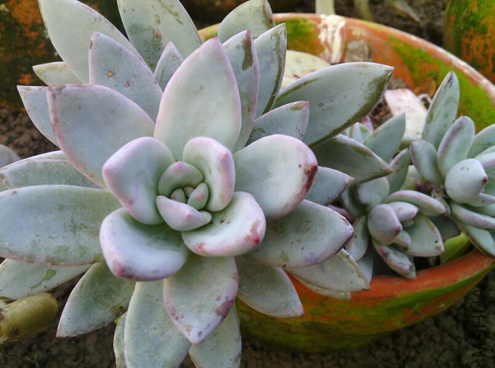 QQ��ͼ20141115121139.jpg