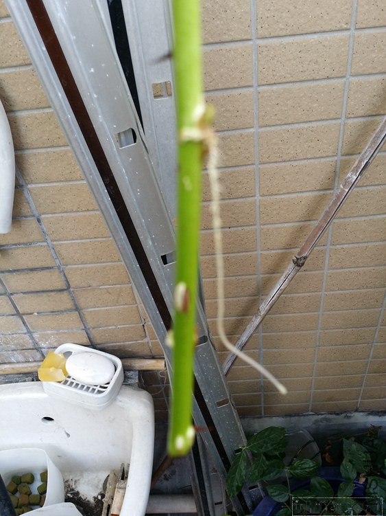 20141115_125317.jpg