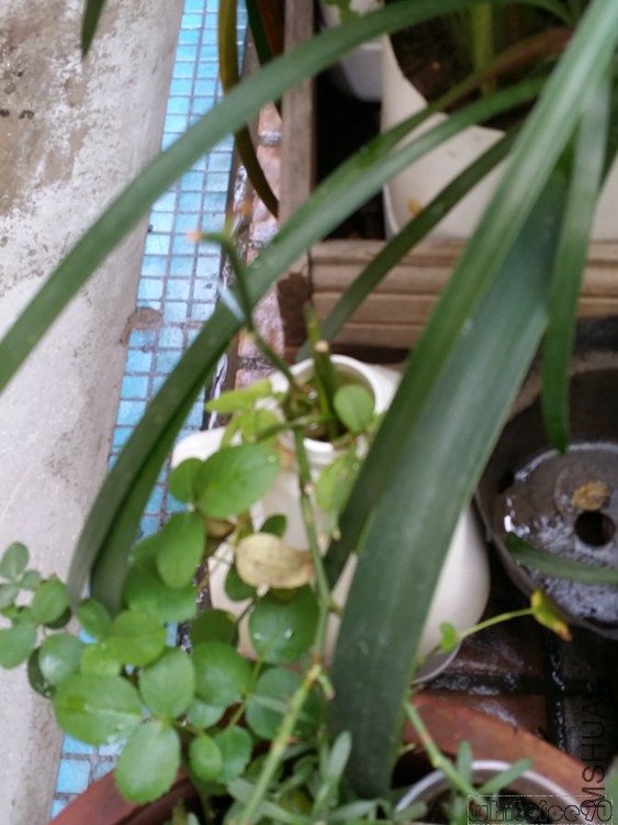20141115_125424.jpg