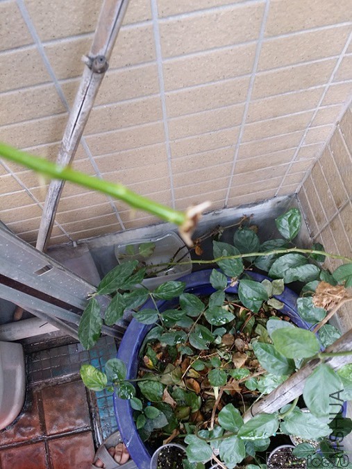 20141115_125357.jpg