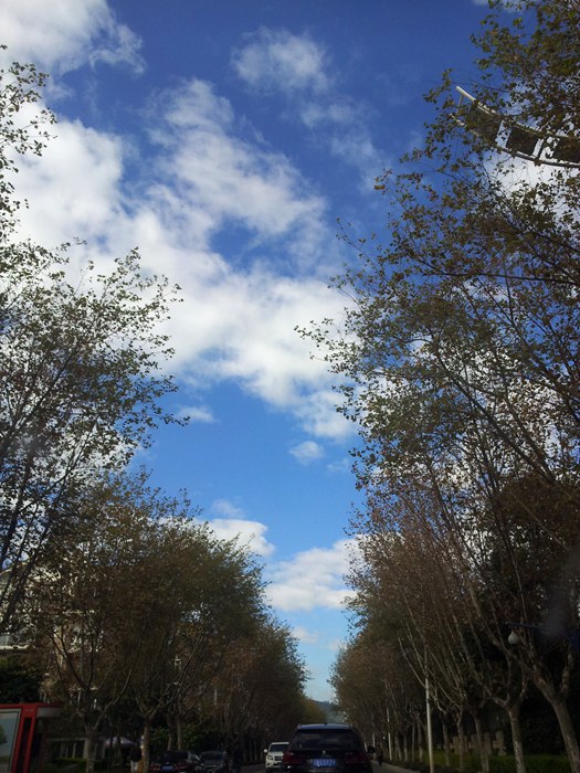 20141109_100347.jpg