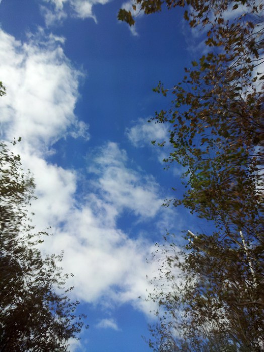 20141109_100404.jpg