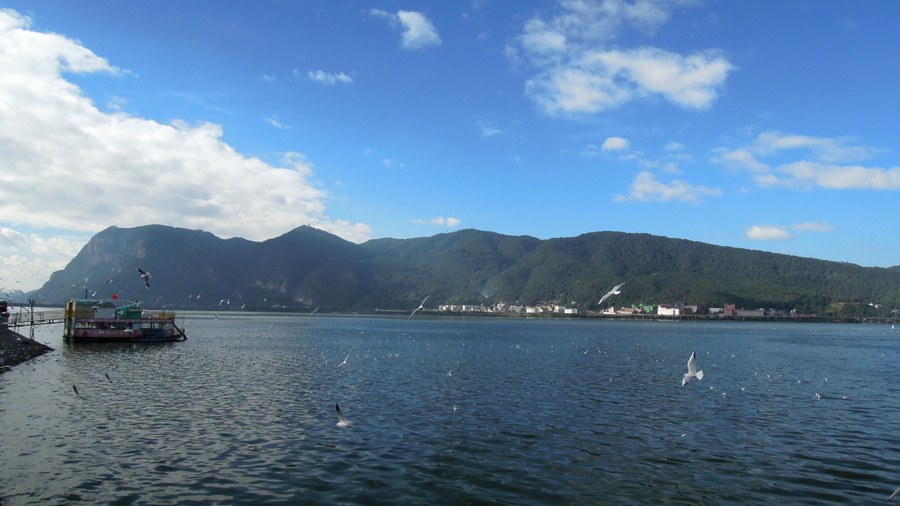 201411 560.JPG