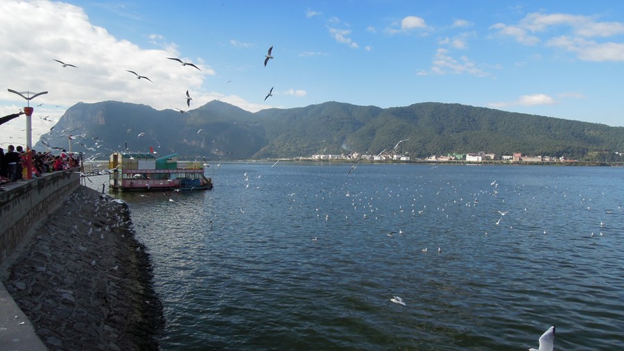 201411 561.JPG
