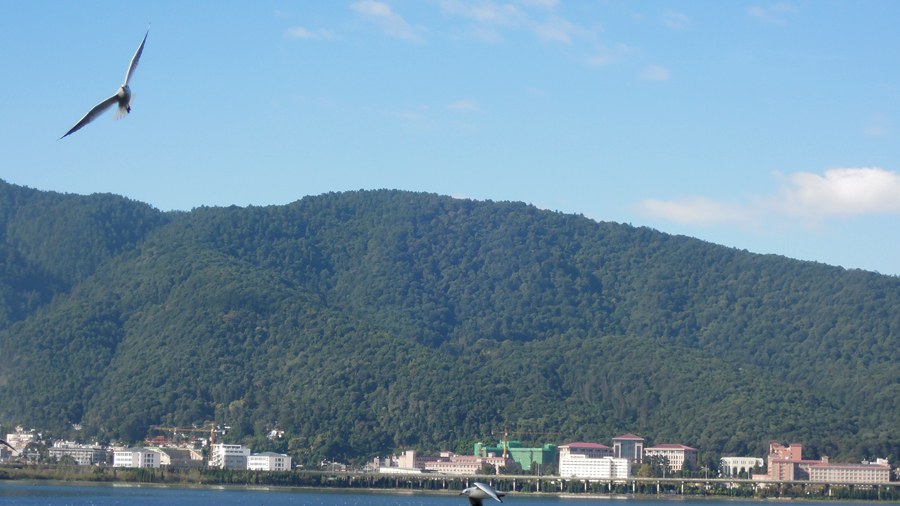 201411 562.JPG