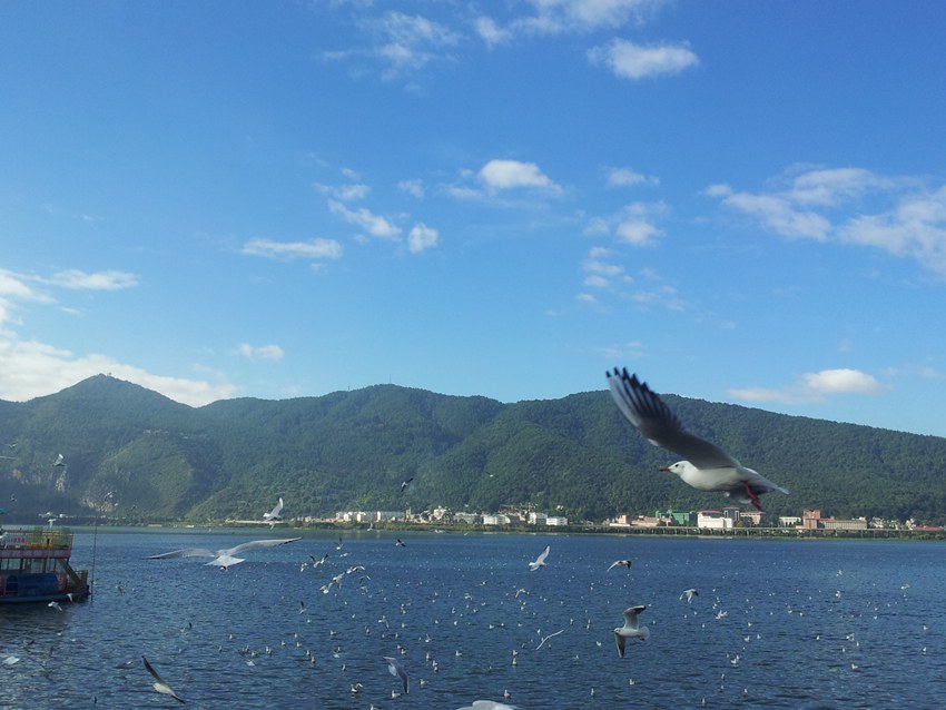 20141109_101134.jpg