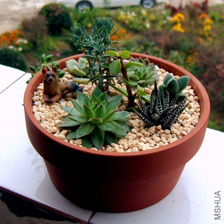 IMAG0024.JPG