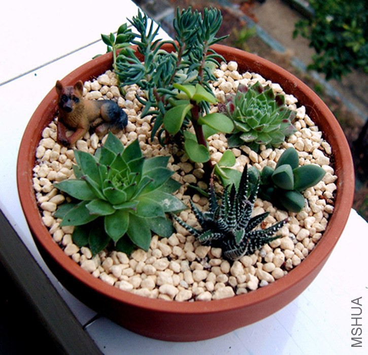 IMAG0026.JPG