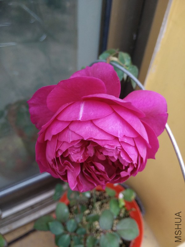IMG20141030112951_.jpg