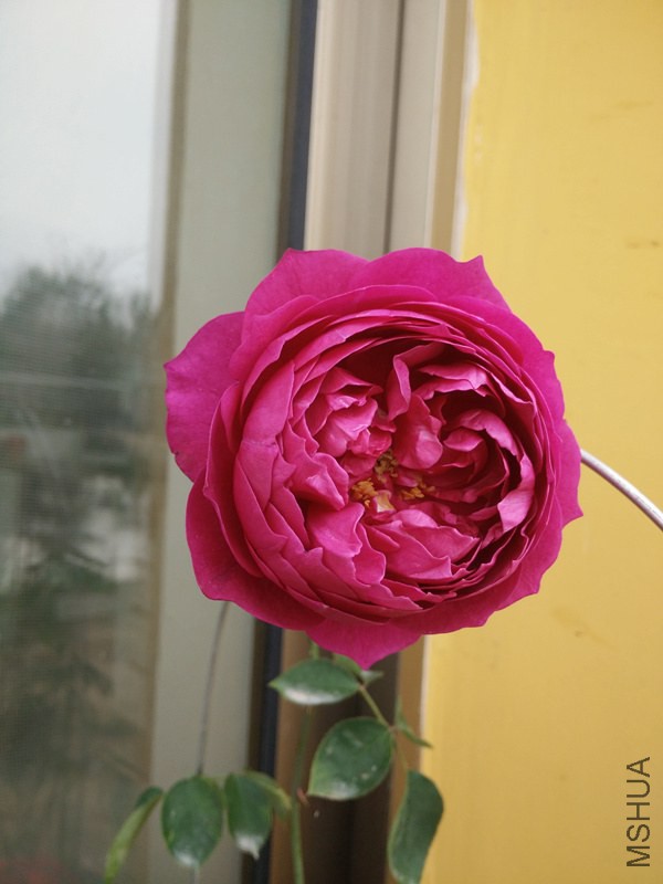IMG20141030112959_.jpg