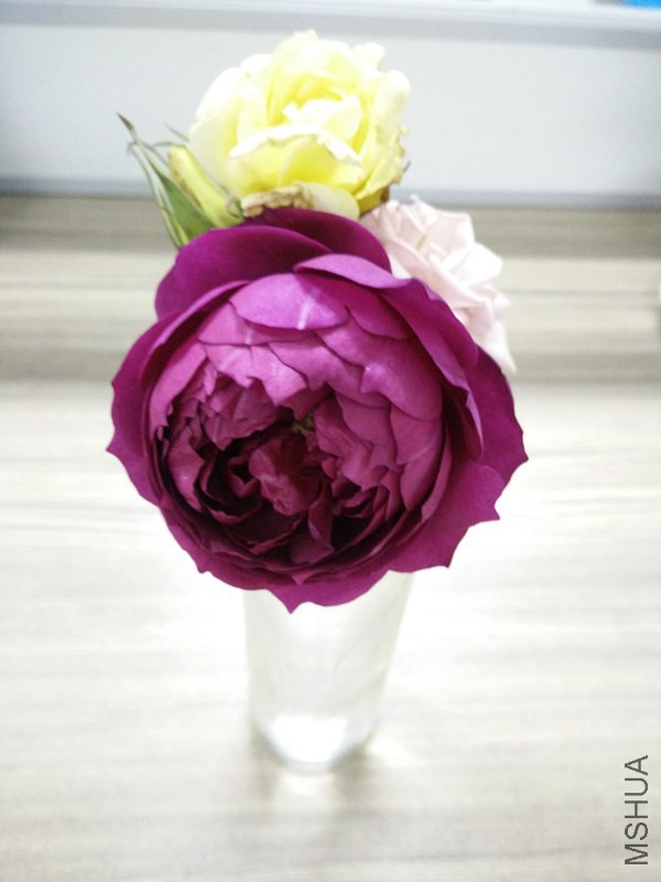 IMG20141030185159_.jpg
