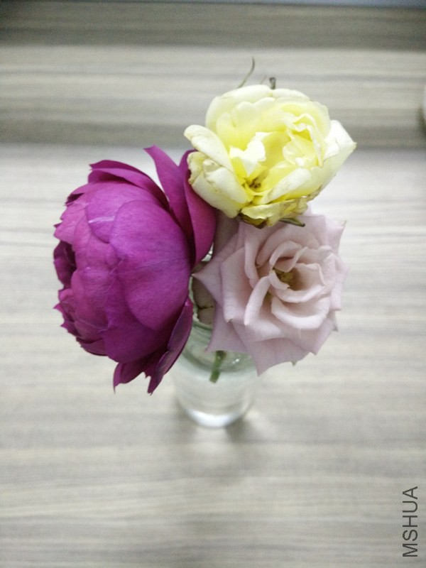 IMG20141030185131_.jpg