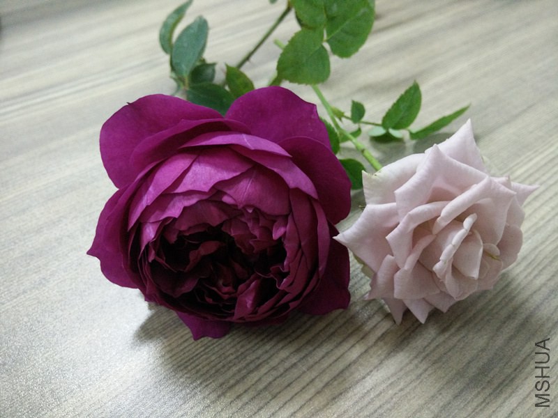 IMG20141030184641_.jpg