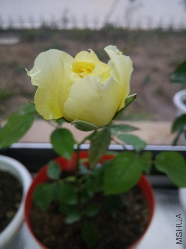 IMG20141031165811_.jpg