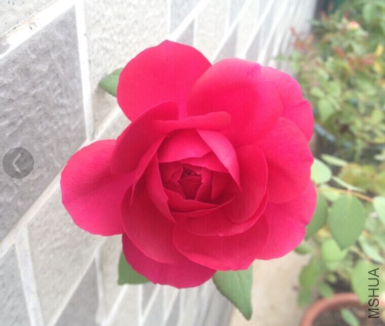 QQͼƬ20141116141444.jpg