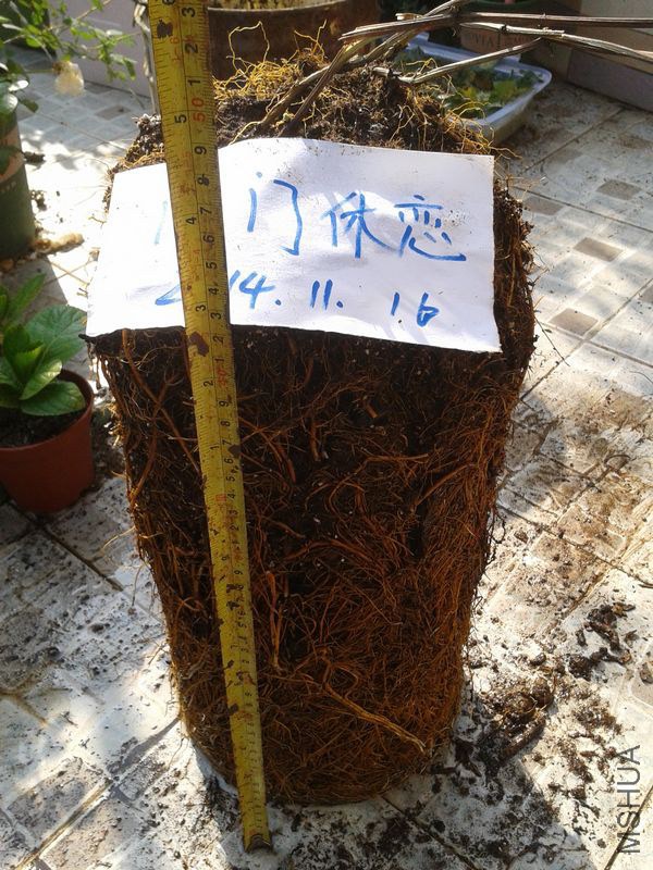 2014-11-16 13.44.28.jpg