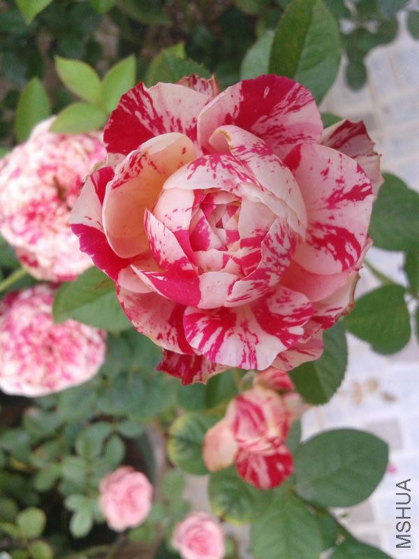 2014-07-25 16.59.07.jpg