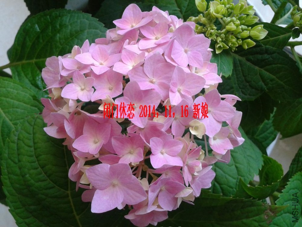 2013-05-11 13.06.58.jpg