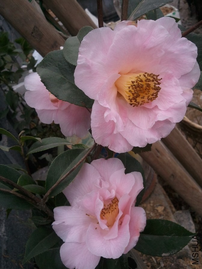 140318120808 (1).jpg