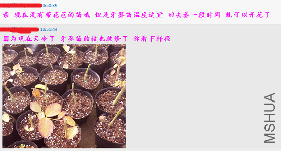QQ��ͼ20141116211209.png
