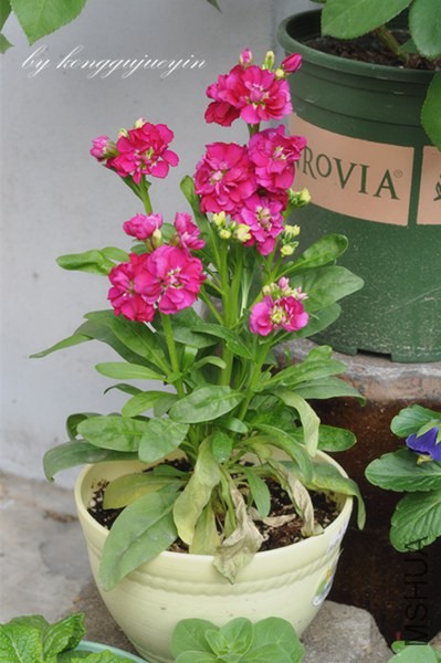 DSC_3079_����.jpg