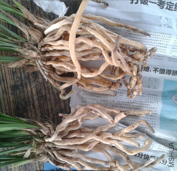 QQͼƬ20141117185606.jpg