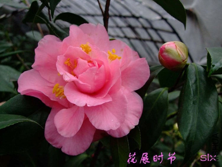 ��չʱ�� 2012-3-8f 003.jpg