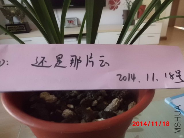 CIMG2003.JPG