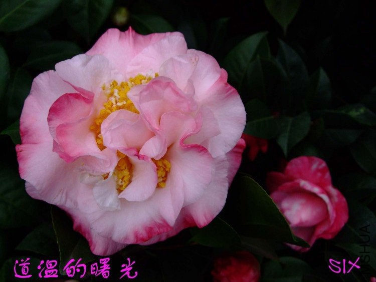 ���� 10-3-15f(1).jpg