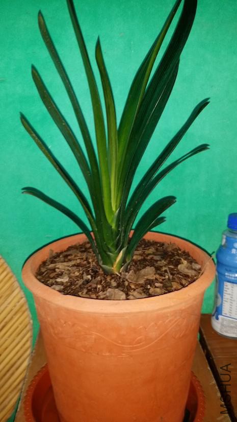 ��ϵ�����Դ�������