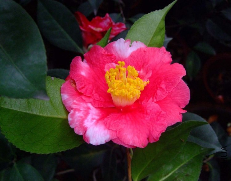 ���������� 2013-3-17 054.jpg